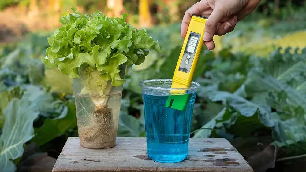 Hydroponic Monitoring Systems: Ensuring Precision and Success in Crop Cultivation