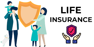 Essential Guide: Exploring Life Insurance Options