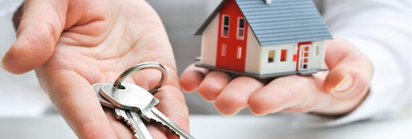 Essential Guide To Conveyancing Specialists: Expert Advice & Services