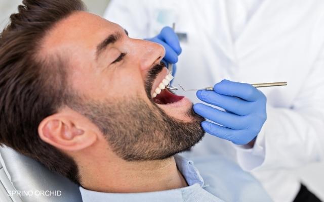 Essential Dental Care Tips: Expert Advice From Trusted Dentists