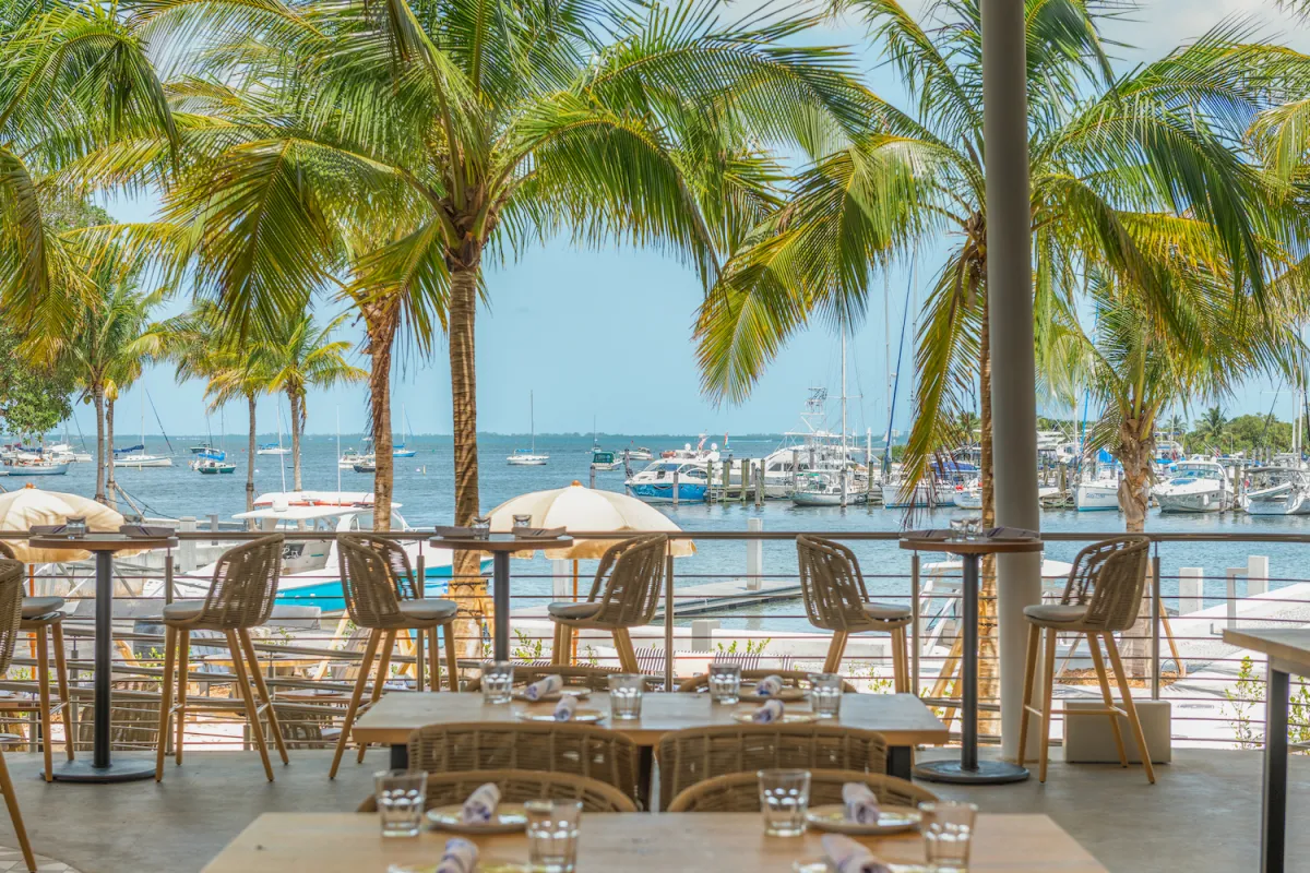 Top Miami Beach Dining Tips: Discover The Best Restaurants!