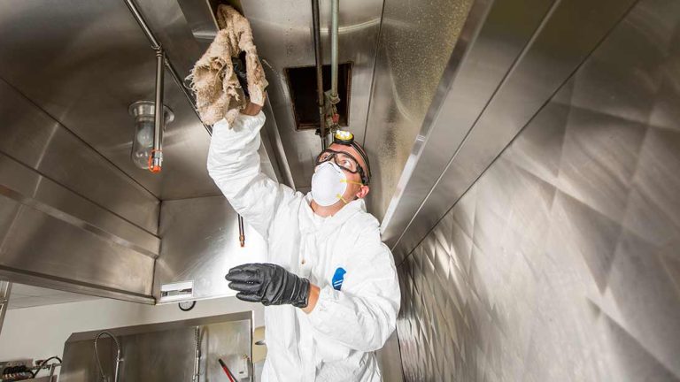 How To Clean A Canopy: Tips & Tricks