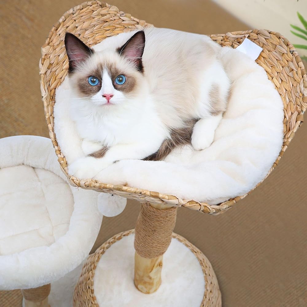 Easy Assembly: Buy Wooden Cat Trees Now!